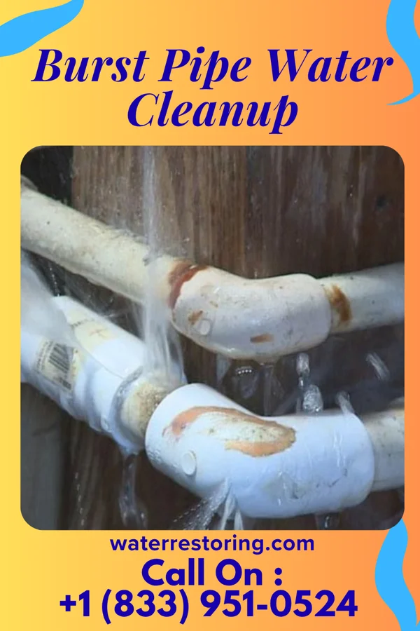 Burst Pipe Water Cleanup in Edgeworth, PA