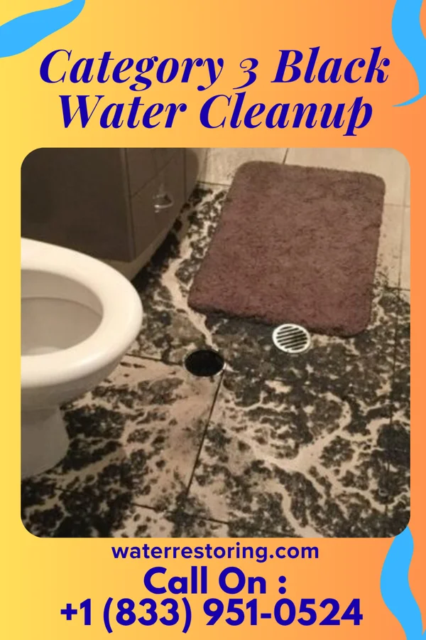 Category 3 Black Water Cleanup in Edgeworth, PA