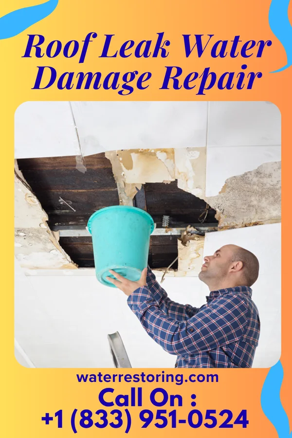 Roof Leak Water Damage Repair in Edgeworth, PA