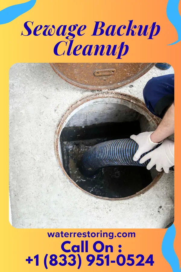 Sewage Backup Cleanup in Edgeworth, PA