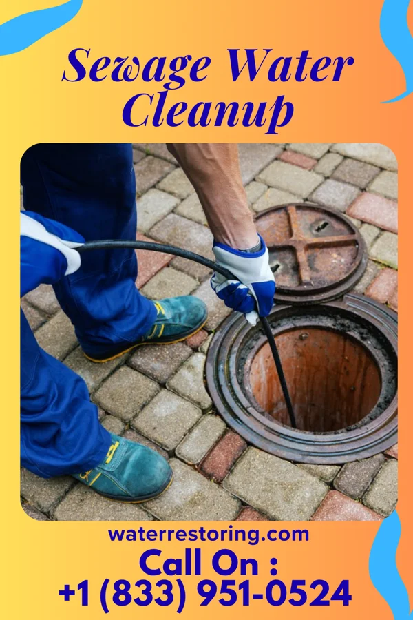 Sewage Water Cleanup in Edgeworth, PA