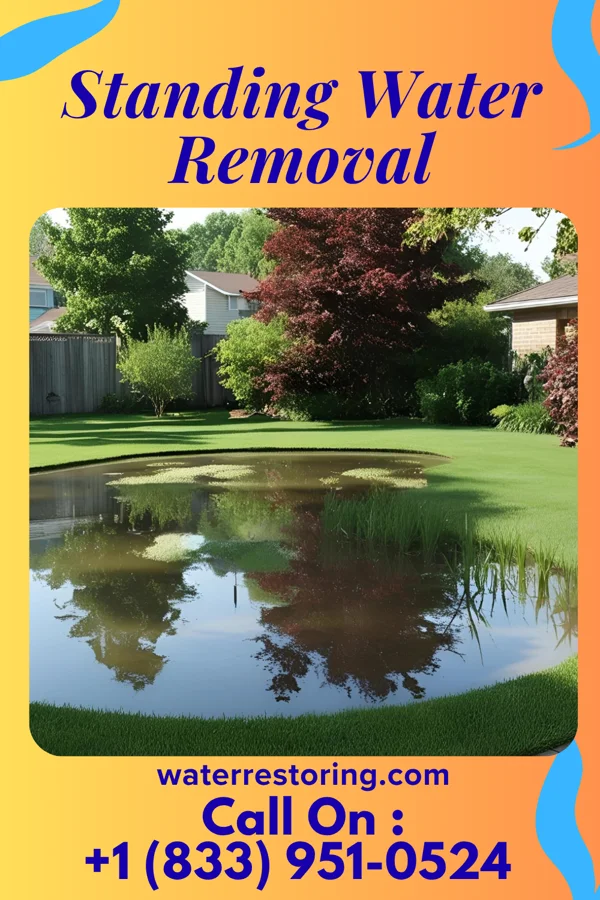 Standing Water Removal in Edgeworth, PA